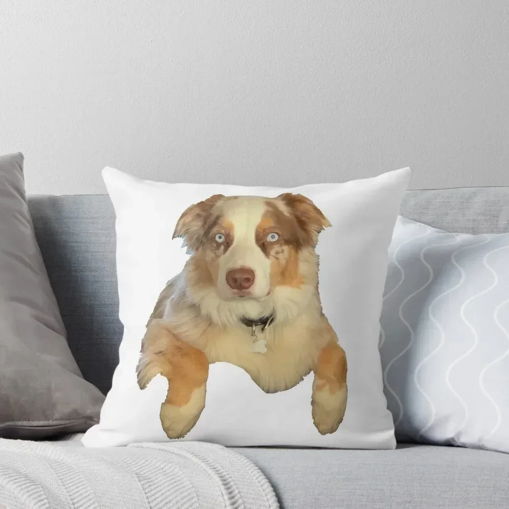 

Red Merle Aussie Throw Pillow Christmas Pillowcase Cushions Home Decor autumn pillowcase Christmas Pillow Covers pillow