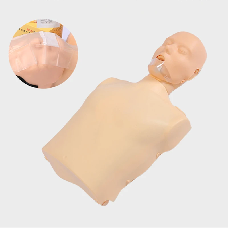 CPR100A PVC Half Body CPR Manikin Anatomical Model Simple Electronic First Aid Manikin For Schools & Medical Science Training