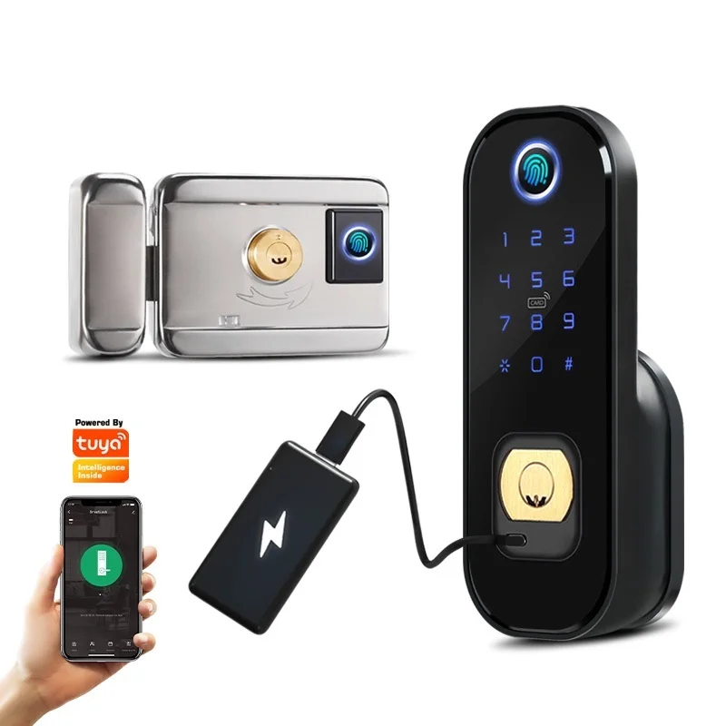 Top Electronic Door Lock DOUBLE SIDED Garden Outdoor Gate Lock Tuya app Wifi Passcode Rfid Card Keyless Front Fingerprint Lock