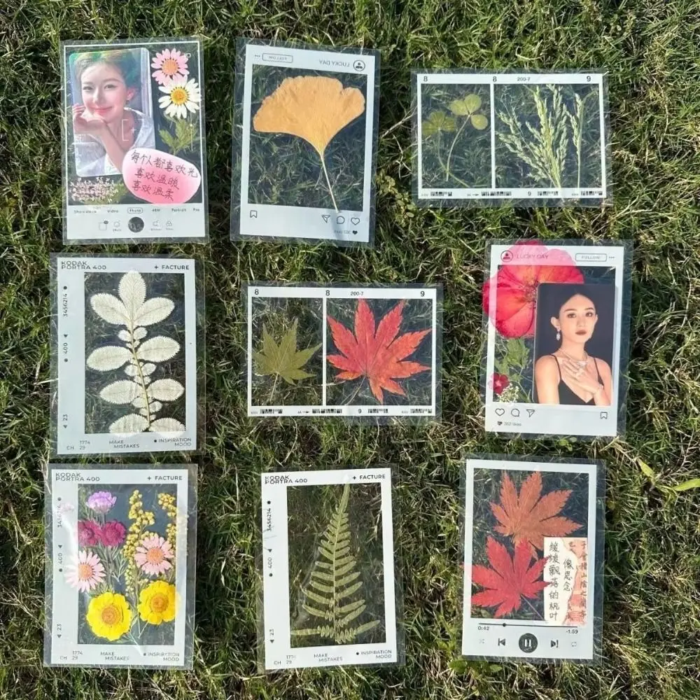 20Pcs DIY Herbarium Bookmarks Maple Leaves Handmade Transparent Bookmarks Pressed Flower Bookmarks