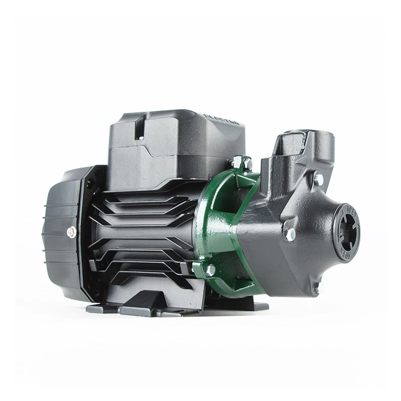 

High Quality 0.75hp Qb Series Domestic Clean Electric Peripheral Motor Farm Domestic Home Qb60 Water Pump