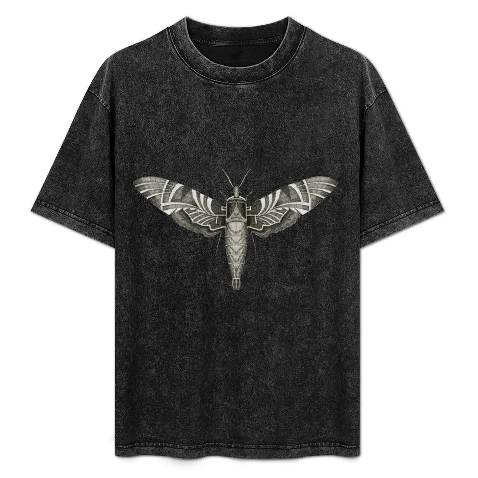 

Moth T-Shirt anime clothes Aesthetic clothing heavyweights football t shirt oversized t shirts for men