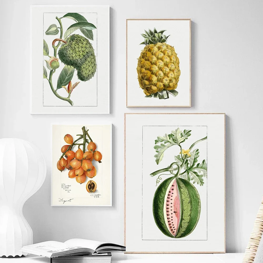 Multiple sizes 1pc frameless Canvas Painting,Vintage Botanical Loquat Fruit Pineapple Illustration Poster Artichoke Minimalism P