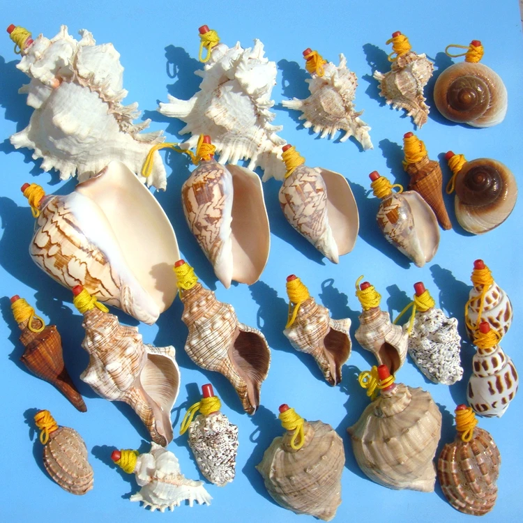 Big Sea Conch Screw Whistle, Conch whistle Shell Crafts, Can Be Melt, Free Small Gifts for Children, Free