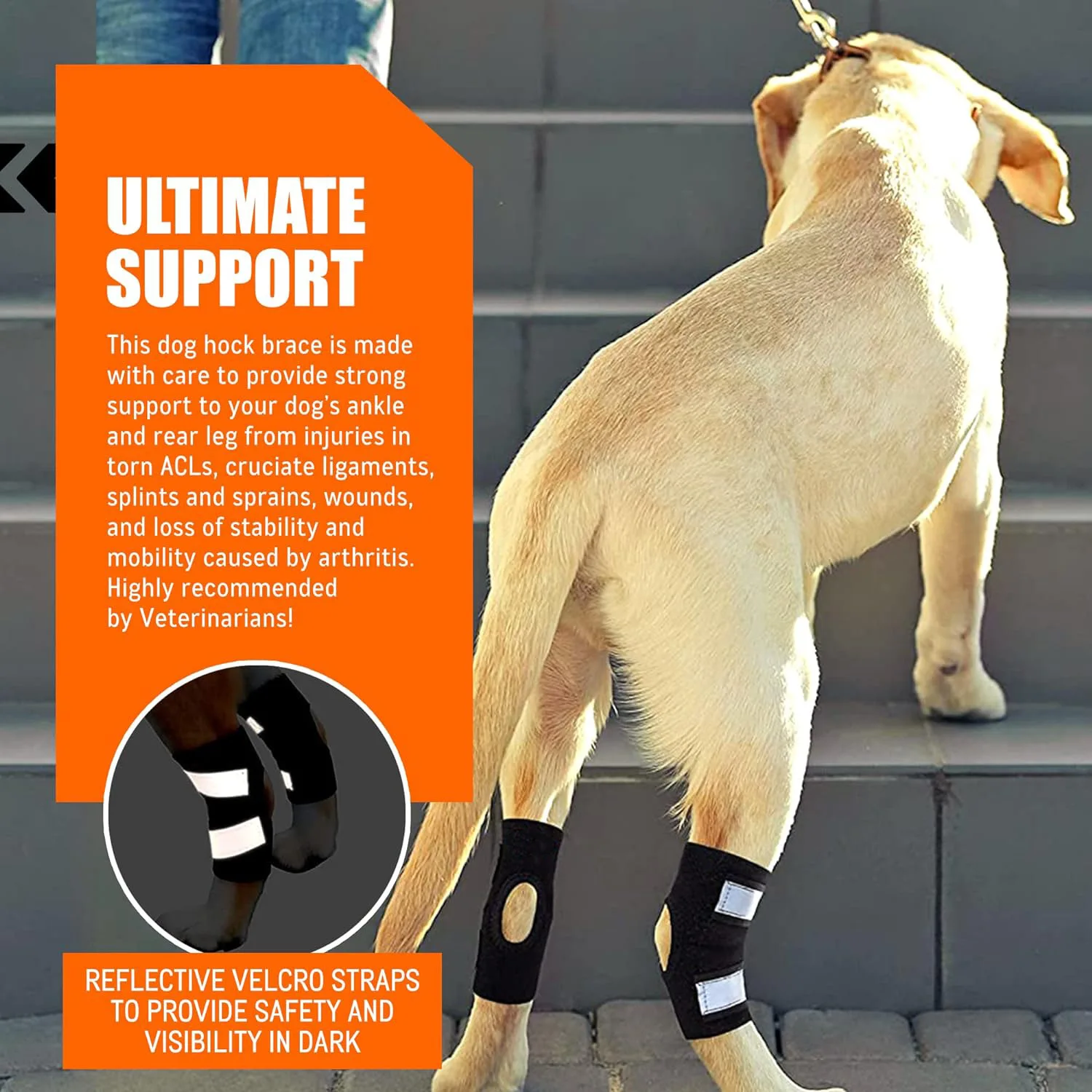 Pet Supplies Dog Leg Guards Reflective Dog Knee Protectors Pet Knee Assist Straps Leg Joint Protectors