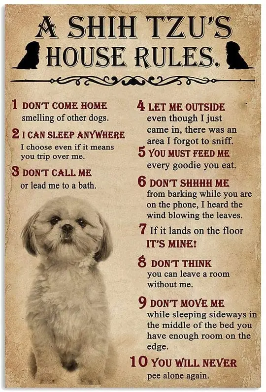 Aluminum Metal Signs Vintage A Shih Tzu House Rules For Bars Club Restaurants Cafes Pubs 8x12 Inches