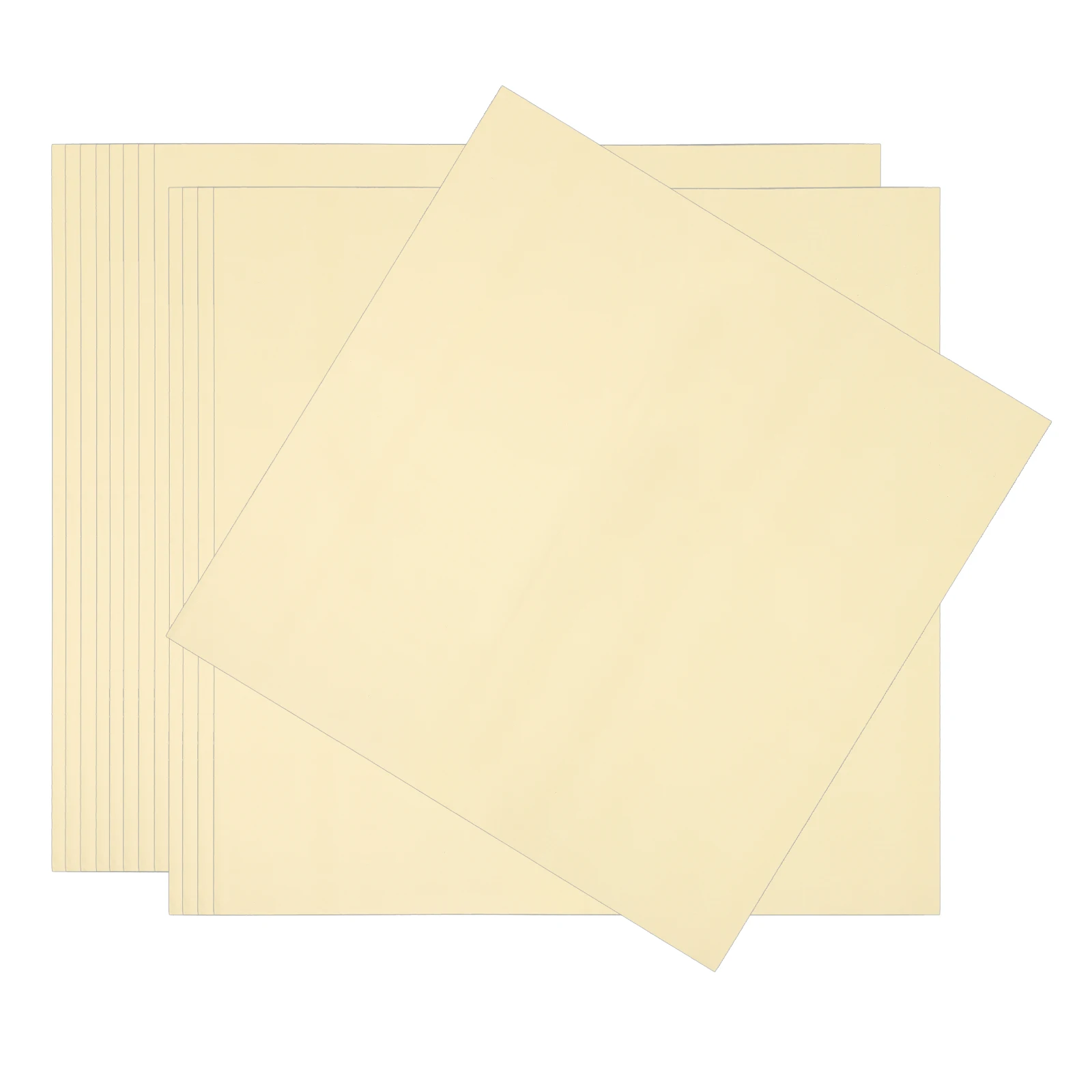 

20Pcs Pearlescent Flower Wrapping Paper Opaque Thick Floral Packaging for Freshness and Elegance Flower Wrapping Paper