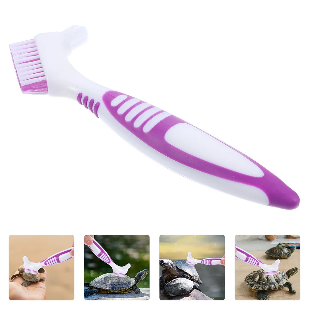 

2Pcs Creative Personal Mini Cleaning Brush for Turtle Shell with Two Different Heads Turtle Supplies Braces Brush