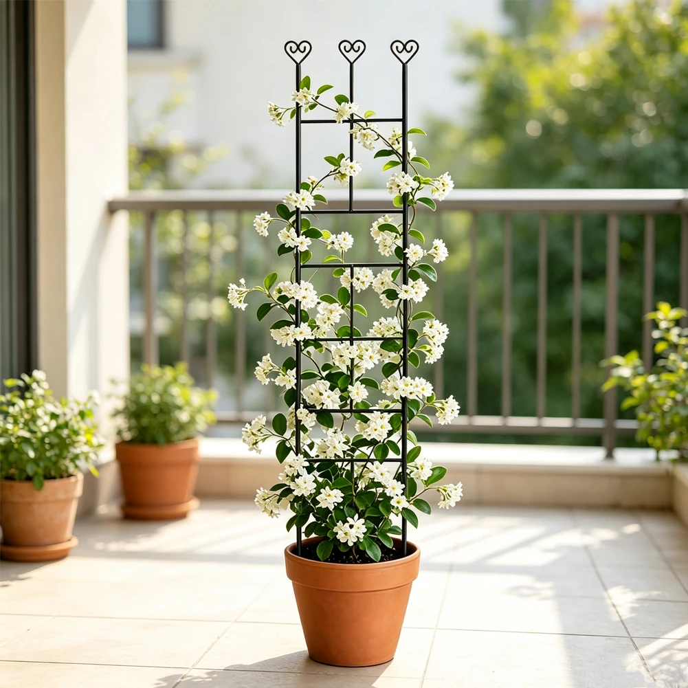 Vine Support Structure Iron Plant Trellis For Balcony Gardening Multi Purpose Trellis For Vines Stable Plant Holder