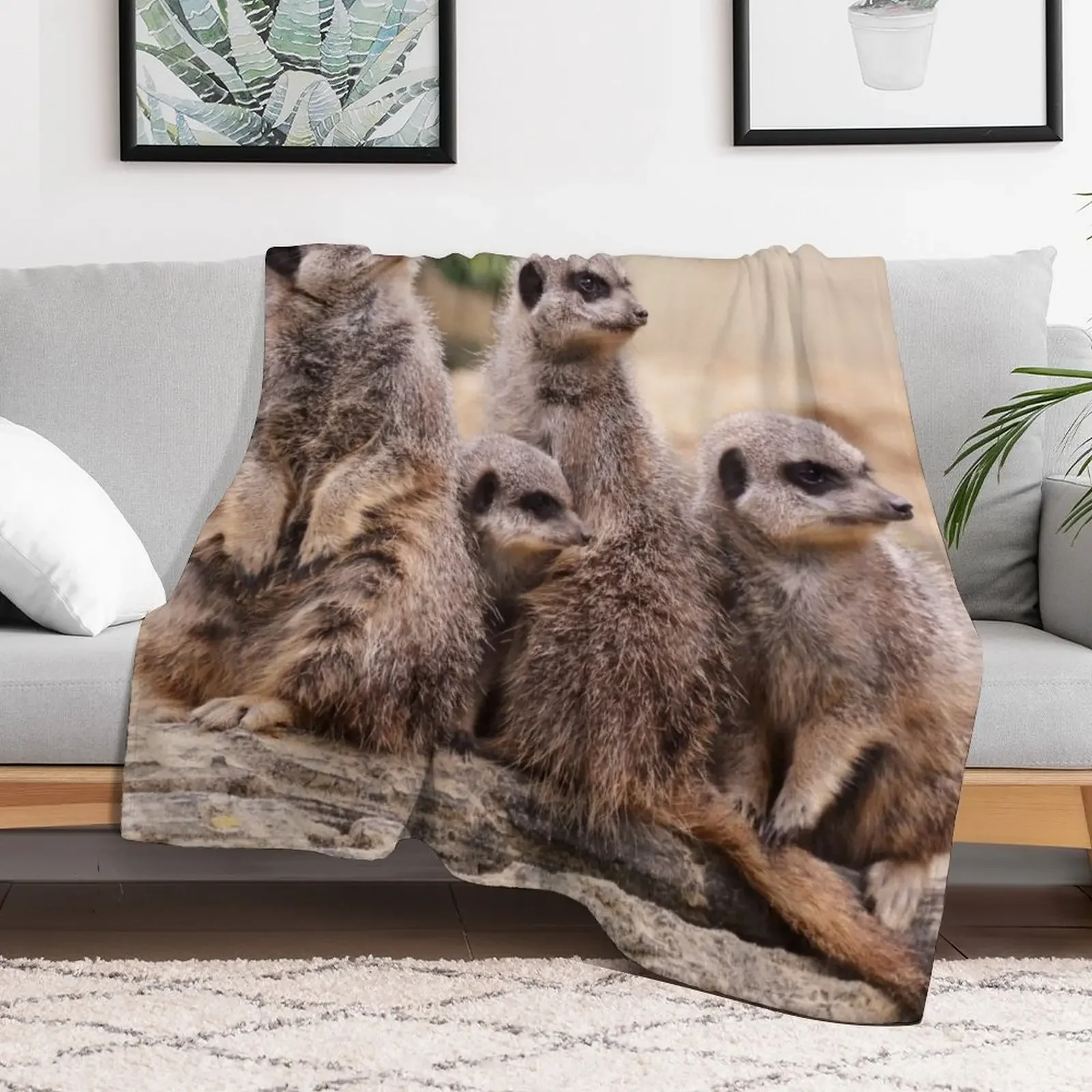 Meerkat family Throw Blanket Ultra Soft Flannel Fleece Blanket for All Seasons