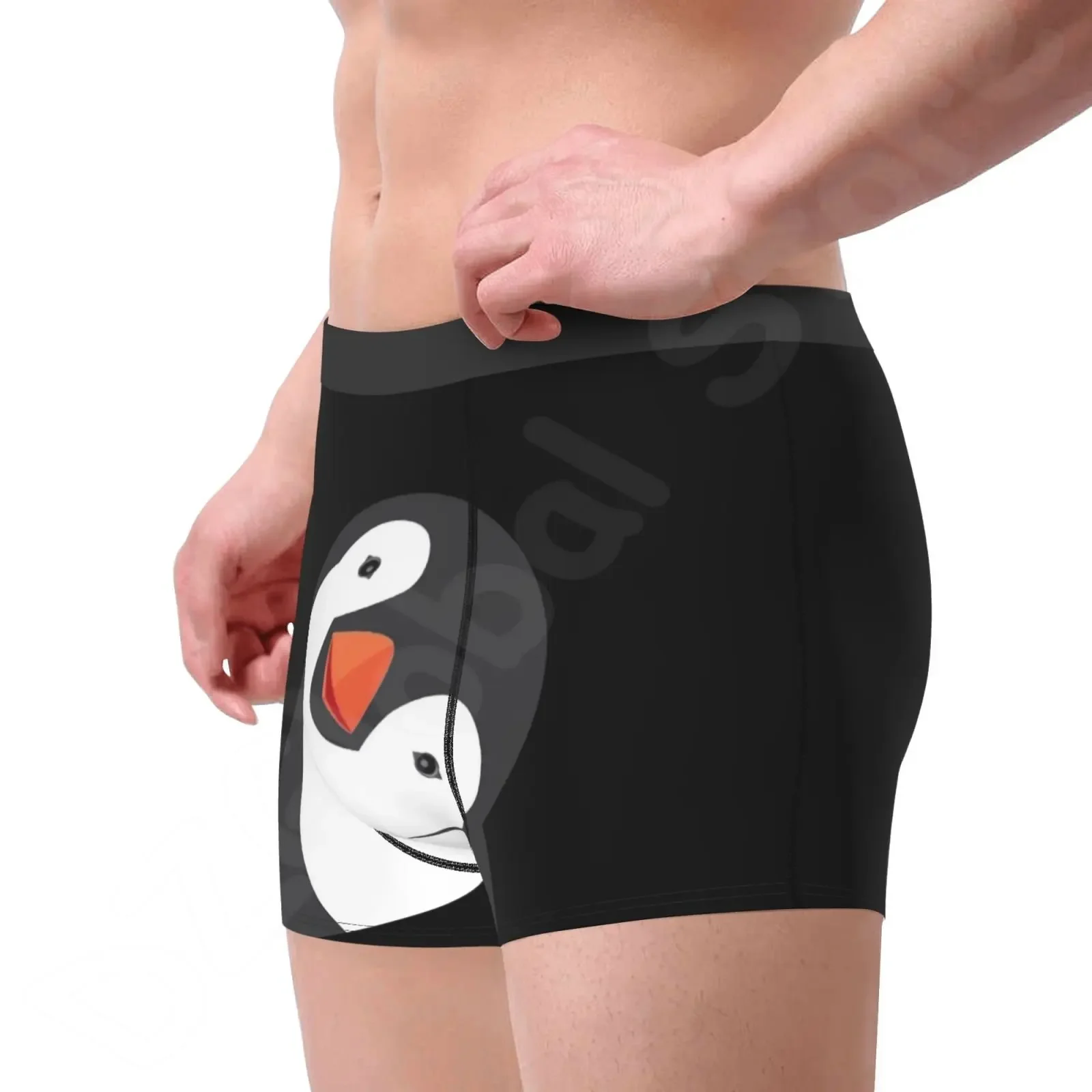 Cute Penguin Boys Underwear Funny Cartoon Animal Underwear for Men Sexy Comfortable Mens Panties Large Size S-XXL image 2