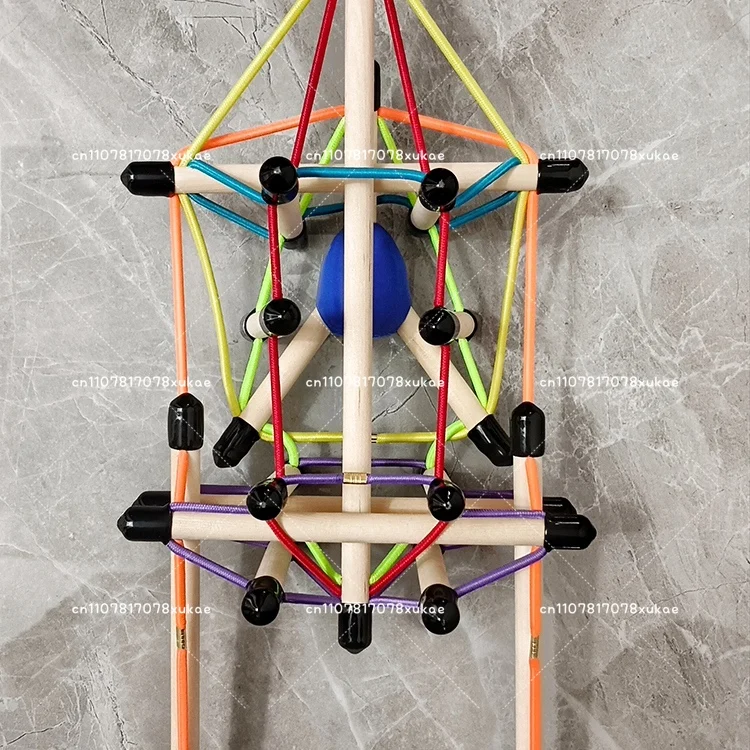 Spine and Pelvis Tensioning Overall Model Structure Fascia Tensioning Body Teaching Aid Demonstration Dynamic Axis Anatomy Train