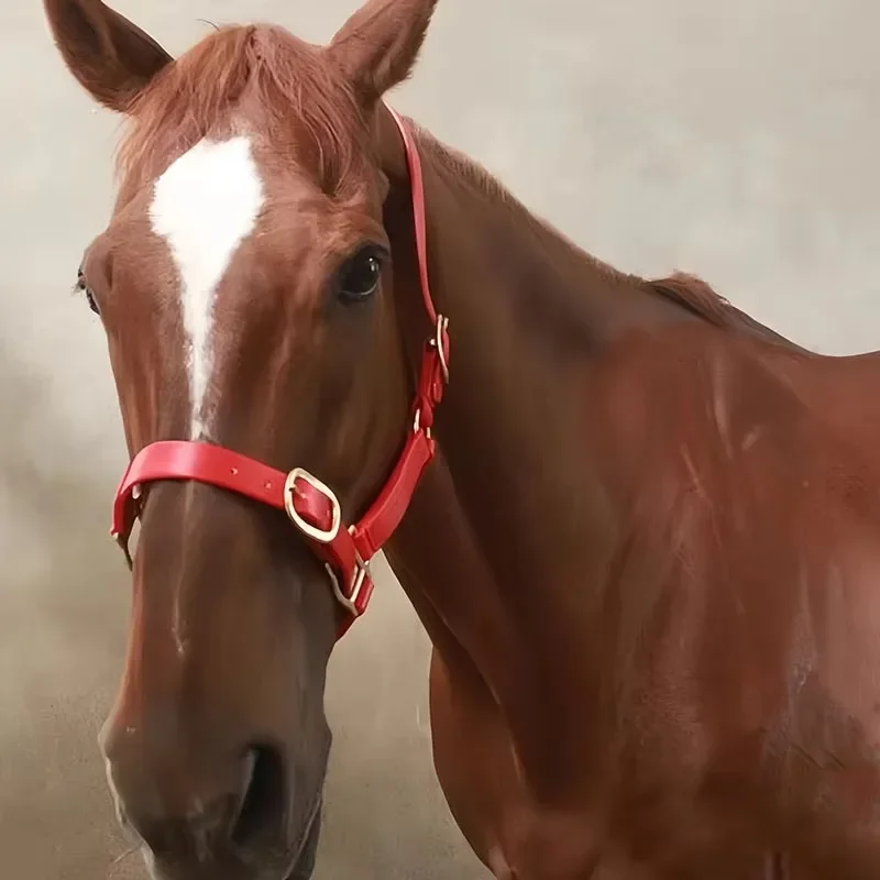 

Водонепроницаемая конная упряжь из синтетической ленты с покрытием и фурнитурой из цинкового сплава, прочная, для использования на открытом воздухе