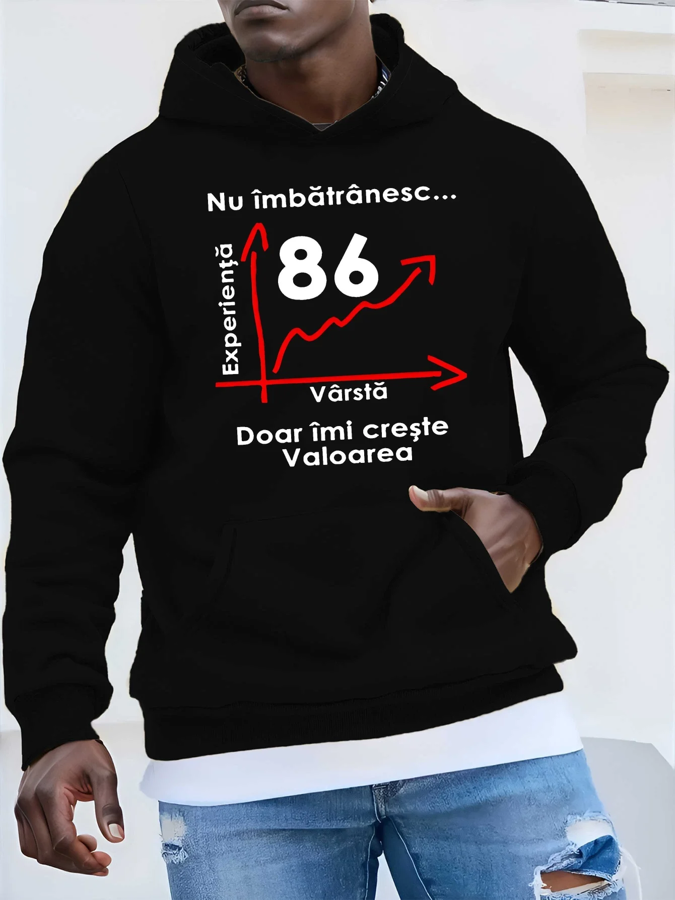 Fun Romanian Prover… - image