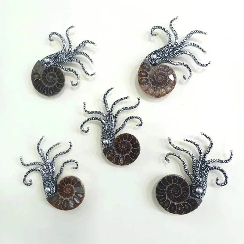 Natural Ammonite Shell Mother of Pearl Octopus Shape Pendant Charms for Jewelry Making DIY Necklace Earrings Accessories 38x65mm