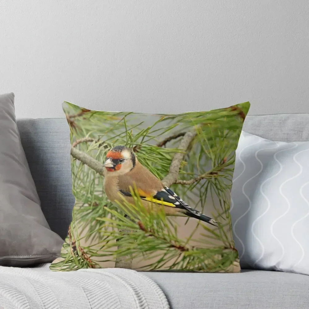 European Goldfinch perched on branch Throw Pillow pillows decor home Cushion Cover For Sofa pillow