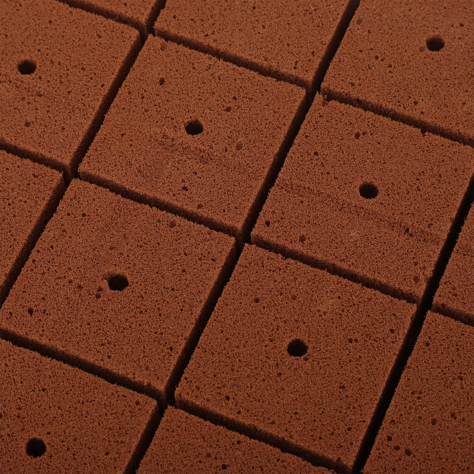 

50Pcs Soilless Nursery Soil Blocks Professional Nutrient Blocks Planting Supply Garden Seedling Transplanting Success