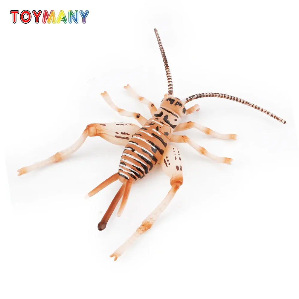 

Toymany Simulation Insect & Beetle Cricket Animal Model Toy Mini Figures Dolls Action Figurines Toys Children Gift