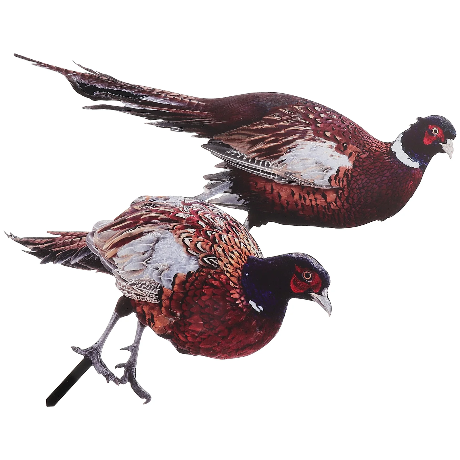 

2 Pcs Pheasant Garden Decoration Sculpture Figures Decorations Outdoor Animal Lawn Sign Stake Ground Plug