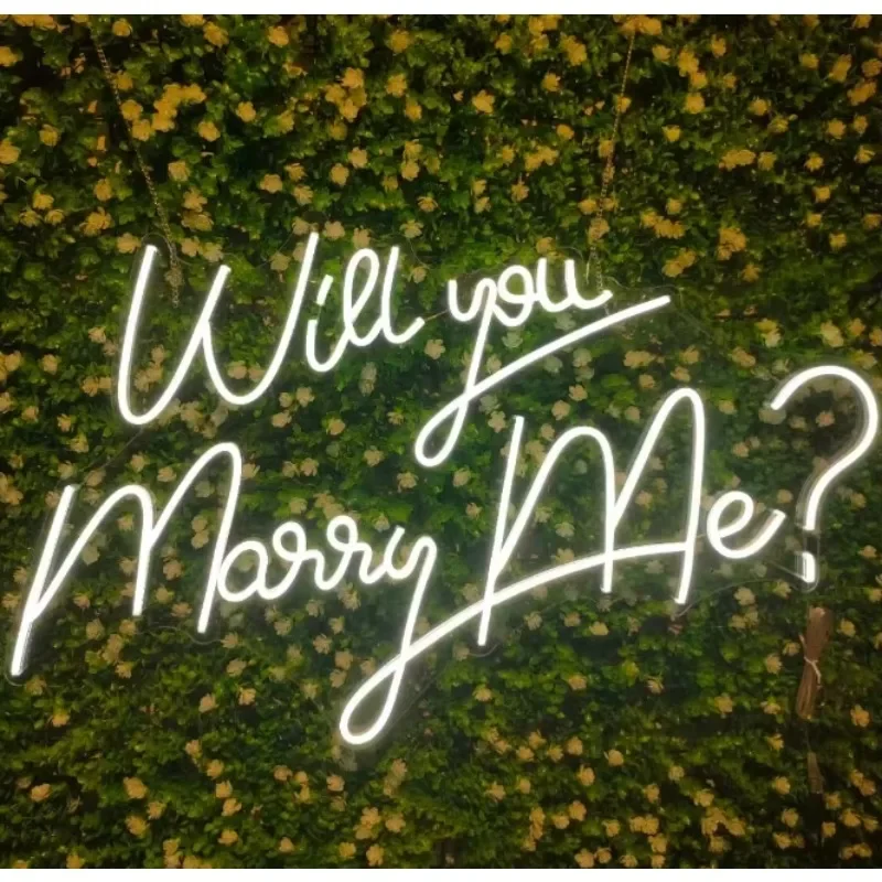 

Light Emitting Diode Neon Bright Light Bedroom Birthday Party Wedding Building Office Store Family