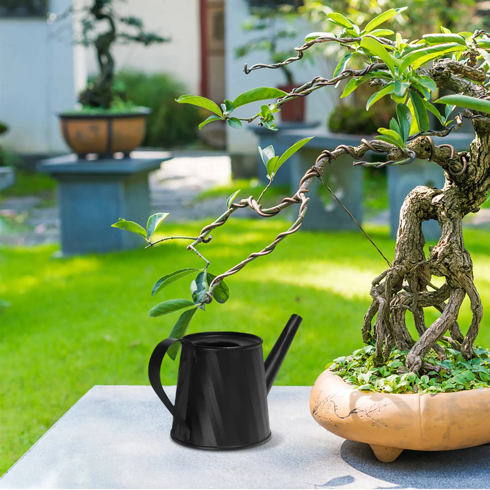 Mini Watering Can for Indoor Plants Metal Small Comfortable Handle Succulent Bonsai Pot Garden Jug Watering Tin view 2