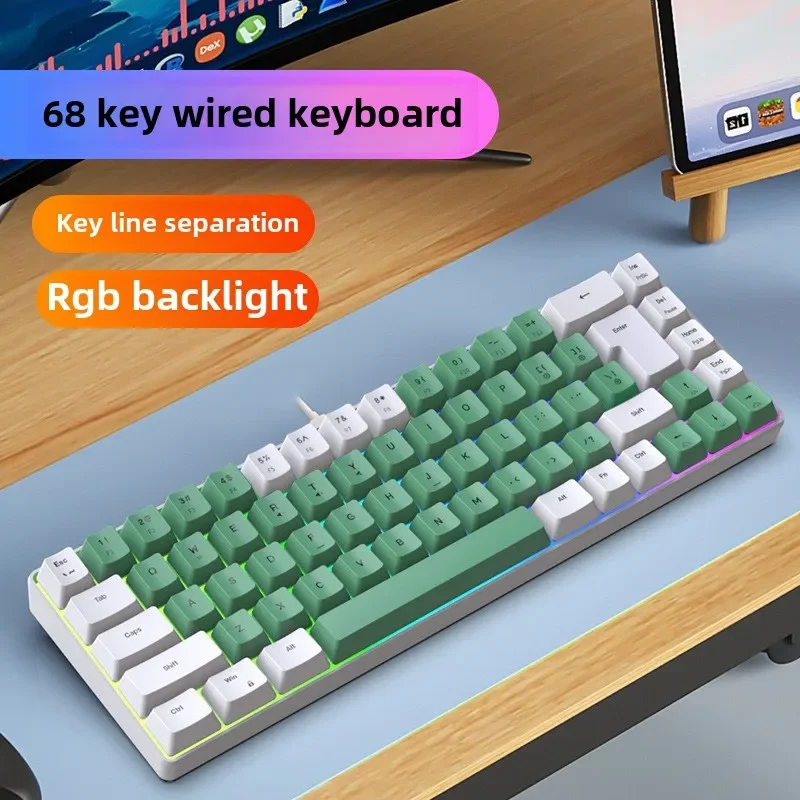 Tastiera RGB 68 tasti mini tastiere per PC da gioco computer tastiera USB per computer cablata (bianco e verde)