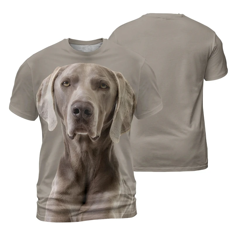 Weimaraner-camisetas con estampado 3D para hombre y mujer, camisetas informales de verano, camisetas de manga corta, camisetas divertidas de animales, ropa