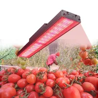 Best Full Spectrum Greenhouse Hydroponics Grow Systems 1000w Led Grow Light