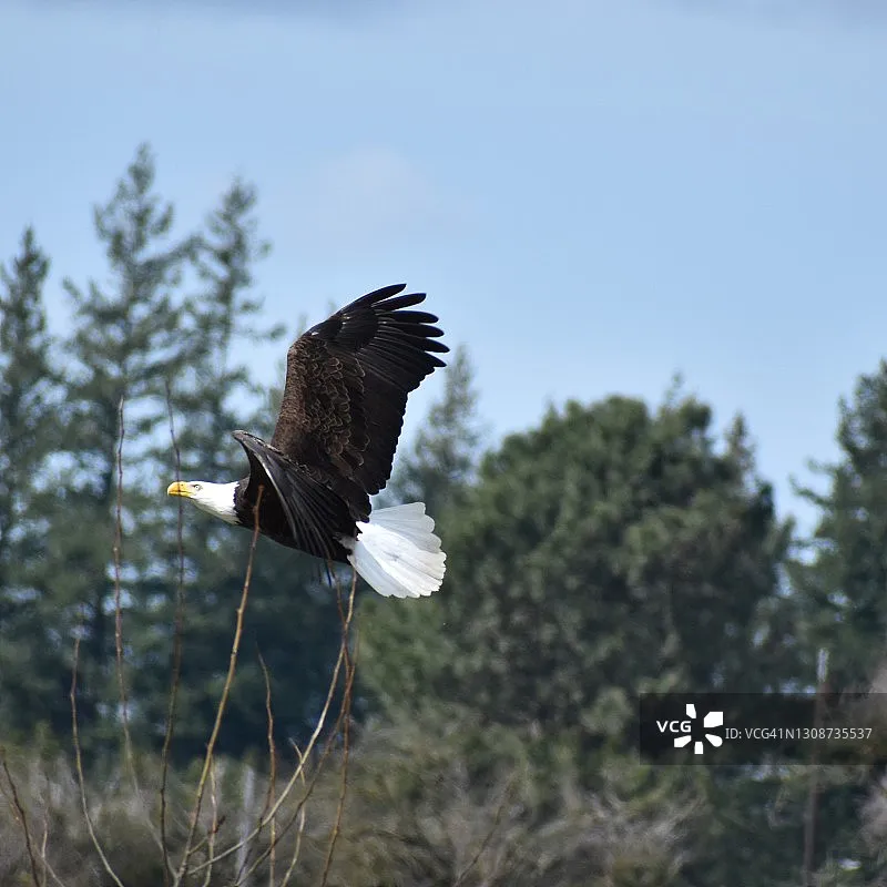 Hota S6 Ultra Ac 48…