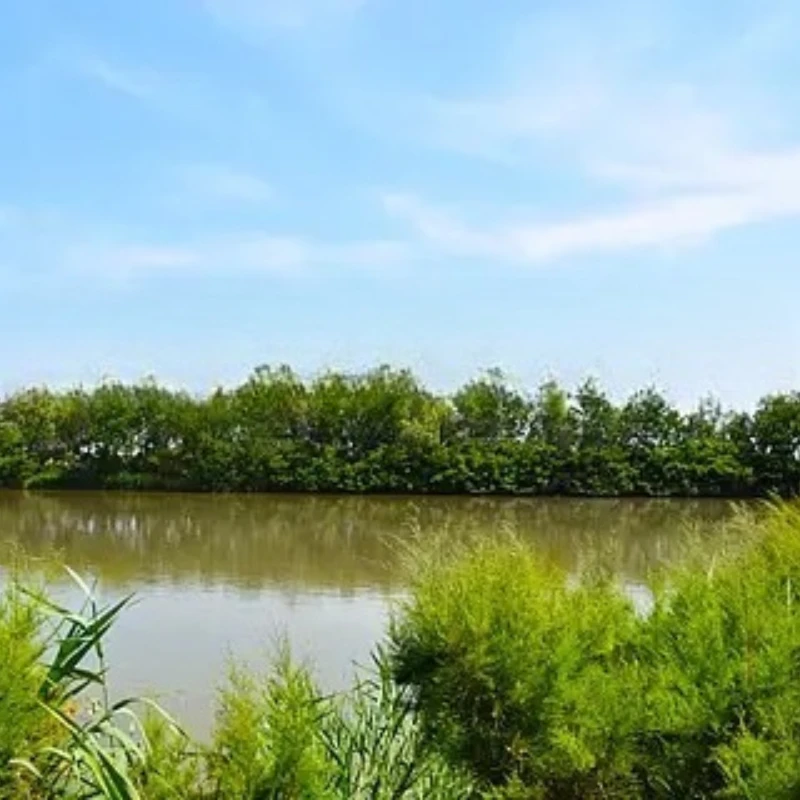 

Сервопривод JX PDI-HV5932MG, 32 кг, крутящий момент, металлическая шестерня, цифровой сервопривод без сердечника, радиоуправляемая модель DIY