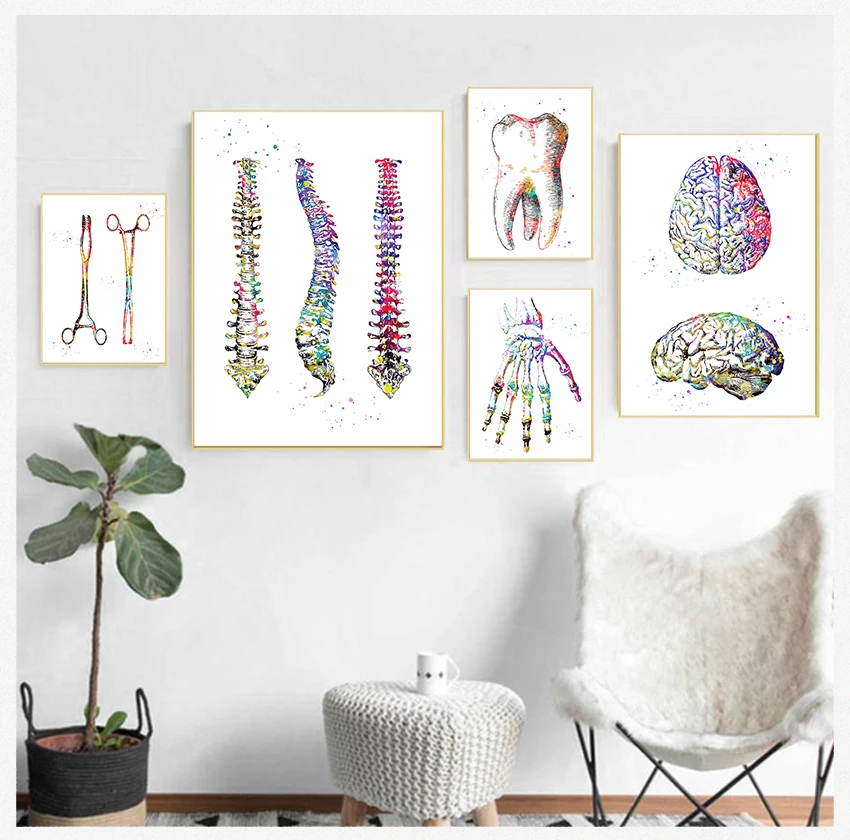 Painting Nordic s And Prints Wall Pictures For Doctor Office Decor Anatomy Art Human Heart Brain Lungs Wall Art Canvas