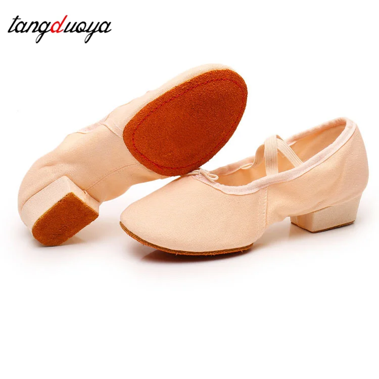 

Women Dance Shoes Teacher Training Shoes Adults Latin Shoes Girls Soft sole Ballet Shoes Jazz Yoga Belly Dance Shoes Female