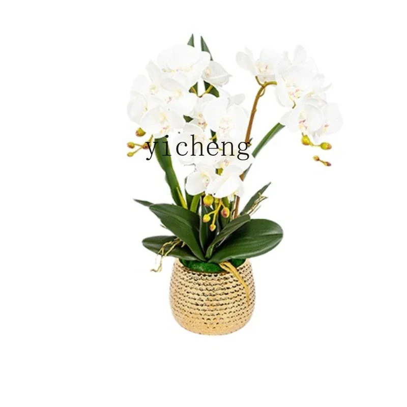 Zws High-End Feel Simulation Phalaenopsis Floral Plastic Bionic Artificial Flower Ornaments