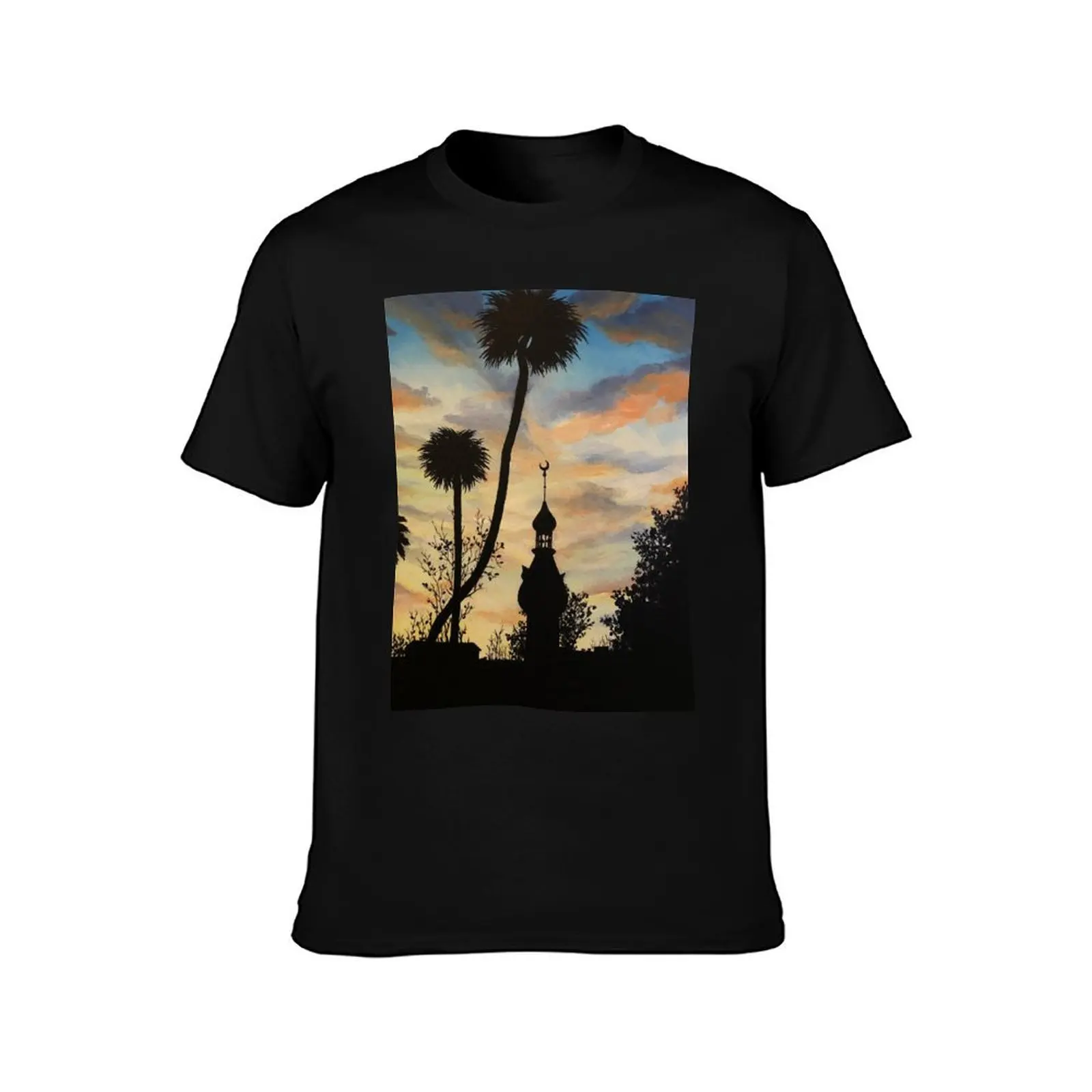 Tampa Plant Hall Sunset Silhouette T-Shirt Basic Comfort Fit for Men T-Shirt