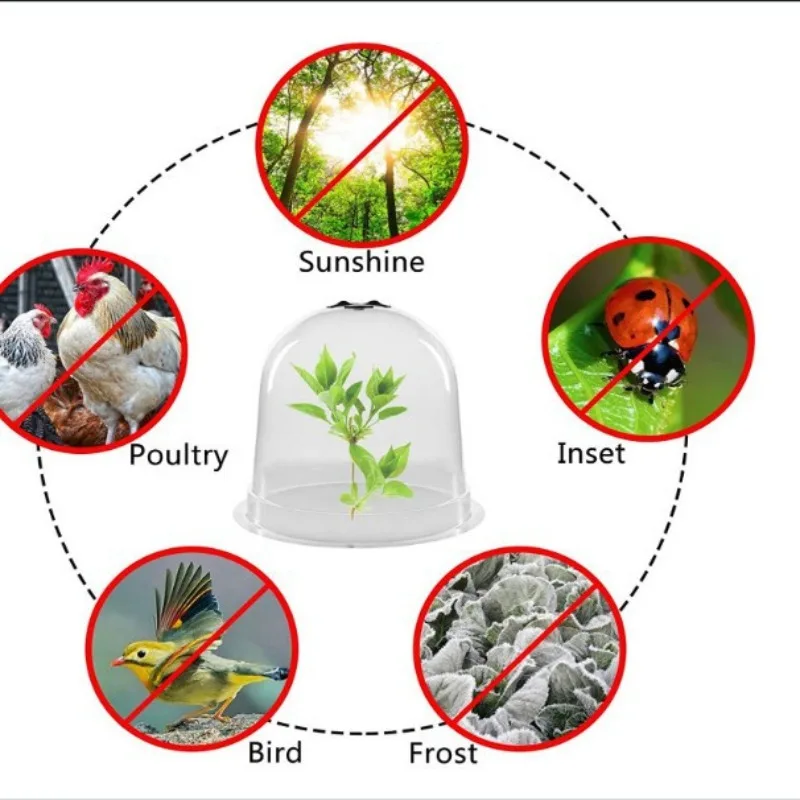 6PCS Plastic Breathable Plant Seedling Heat Preservation Cover, Seedling Protection and Cultivation Tool Gardening Supplies