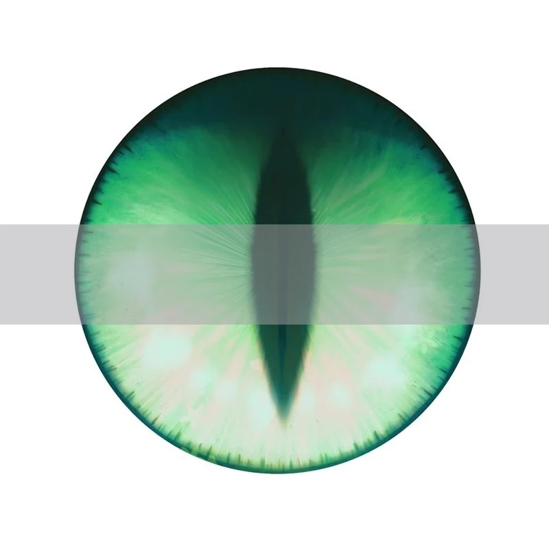 Anime Character Head eye Eyeball Furryfandom Kigurumi Kemono Cosplay Costume Eye Pupil Accessories Animal Dust Net Kig Eye Pupil