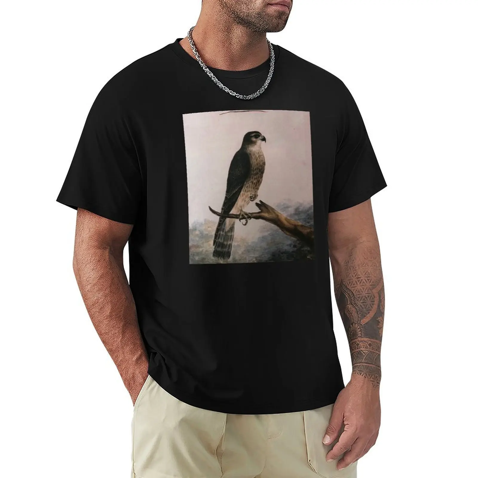 Merlin, painted by Emily Bront? T-Shirt oversized graphic tee rapper graphic tees plus sizes clothing for men