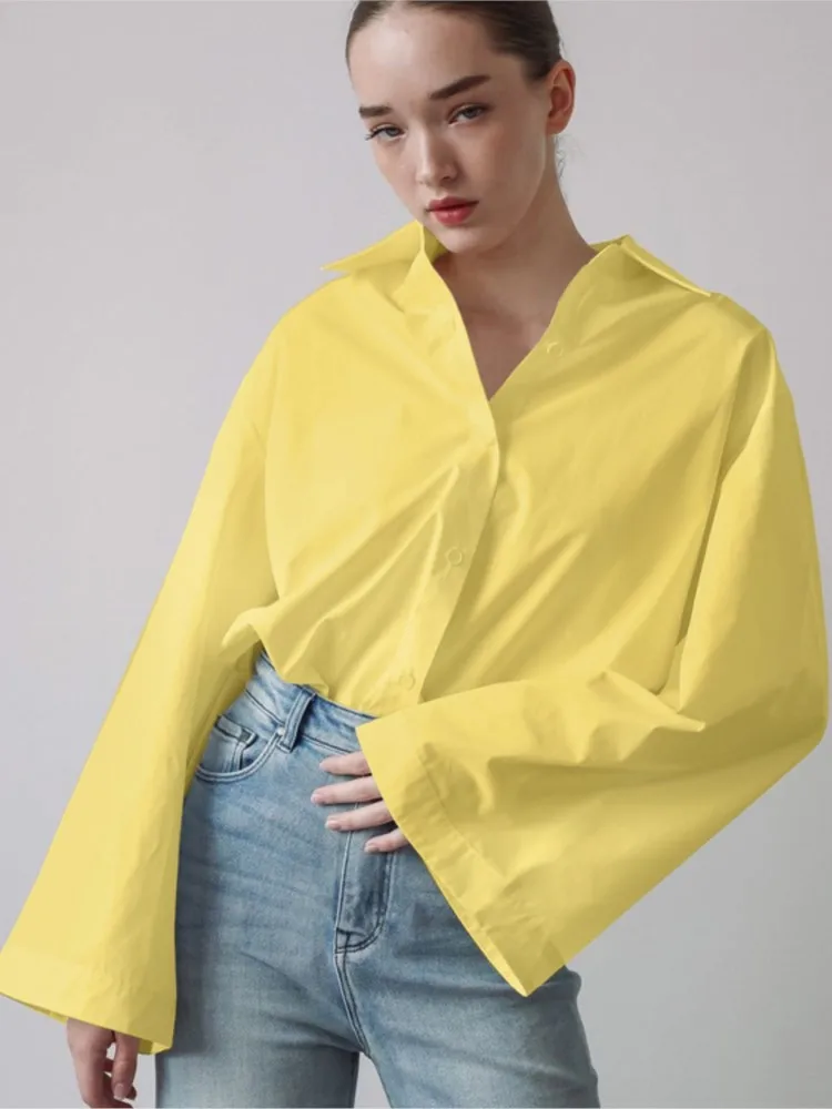 بلوزات نسائية لخريف 2025 بلوزة شتوية بأكمام طويلة بلوزة نسائية قميص مكتب أنيق للعمل بلوزات علوية Mujer De Moda