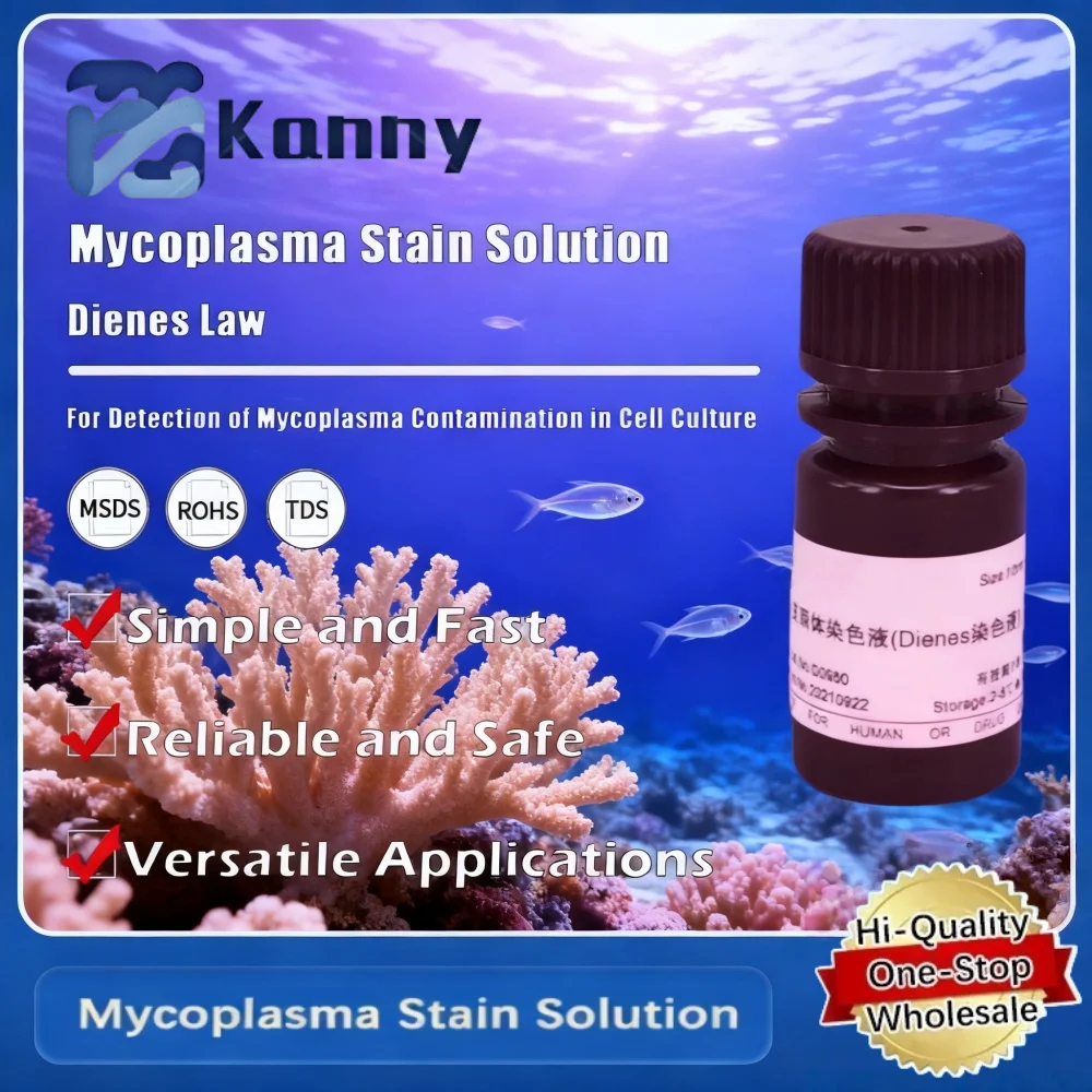 Mycoplasma Stain Solution for Dienes Method Mycoplasma Detection in Laboratory Applications Original Product