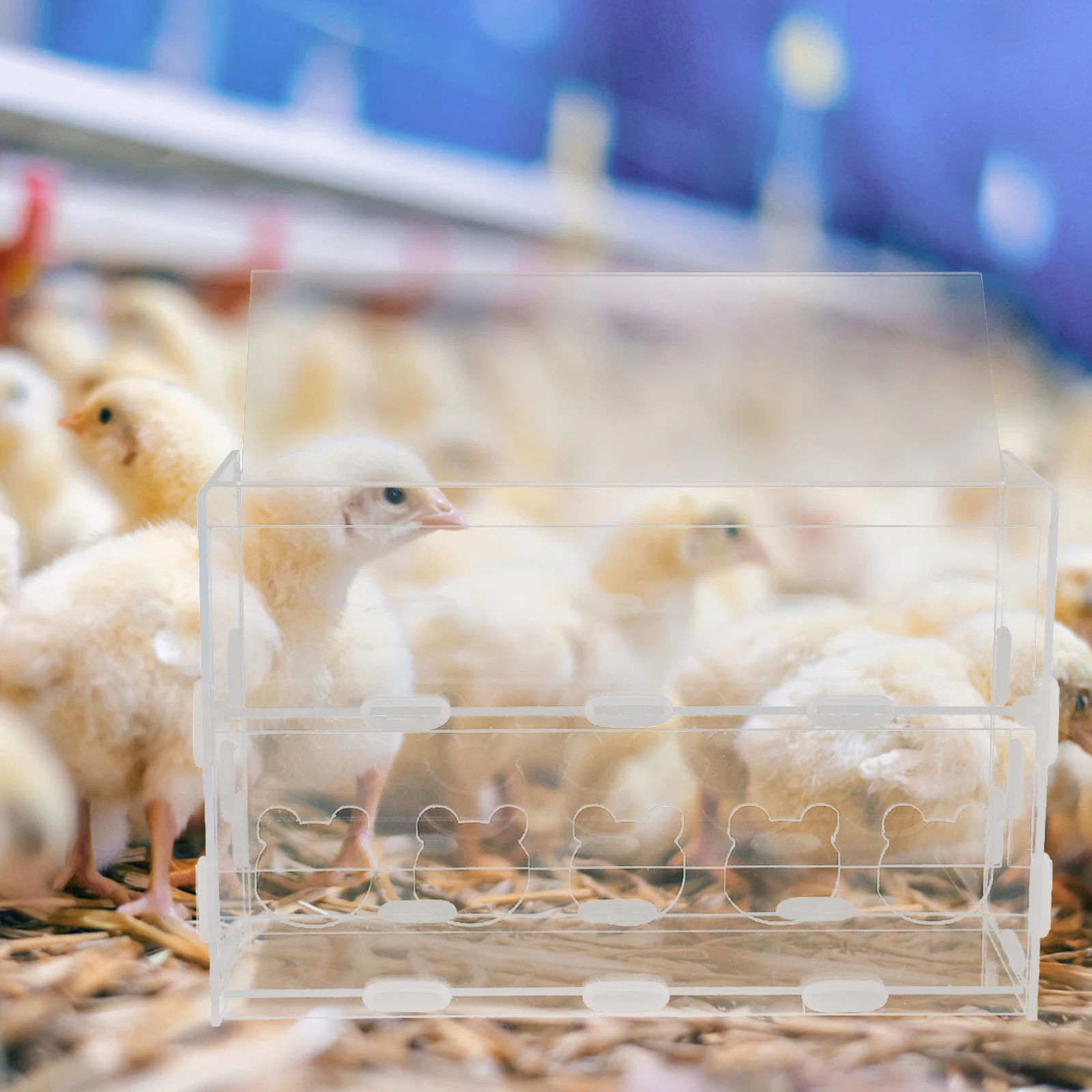 

Rutin Chicken Feed Box Transparent Food Feeder Sturdy Material Poultry Bird Parrot Convenient Eating Rutin Chicken Feed Box