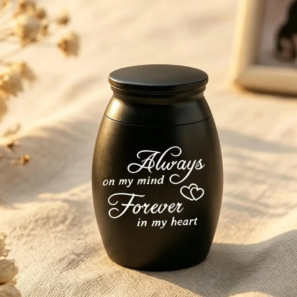 Metal Pet Urn Compact Pet Urn Stainless Steel Pet Urn for Cats Dogs Waterproof Keepsake Box Small Cremation Ash Hair Storage