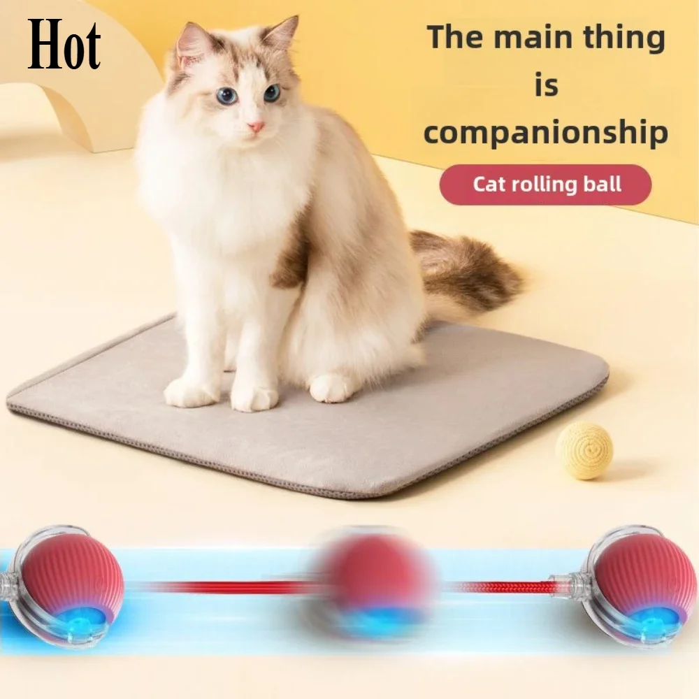 Automatic Rolling Fake Tail Ball Cat Toys Cat and Dog Training Simulation Mouse Rechargeable Smart Pet Electric Toy Cat Homepage