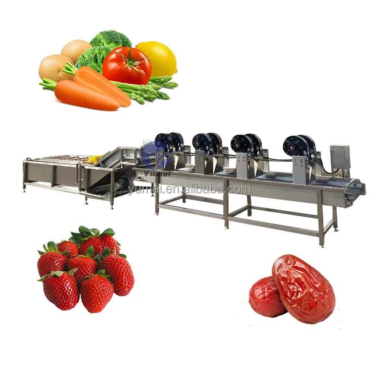 Industrial Avocado Orange Mango Citrus Fruit Washing Waxing Polishing Sorting Grading Machine Processing Line