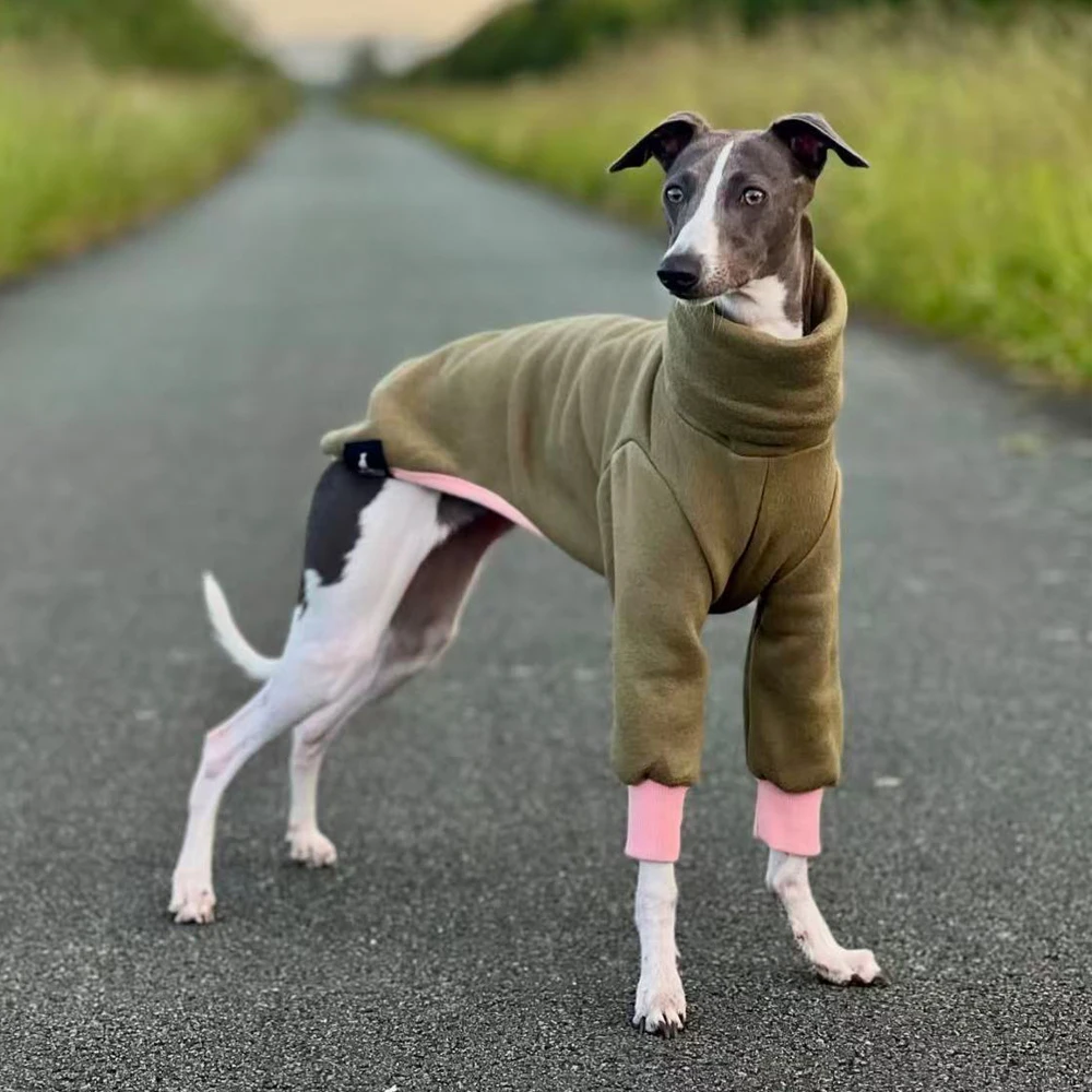 Mono forro polar 2 patas verde invierno para Galgo Italiano y Whippet - imagen 5