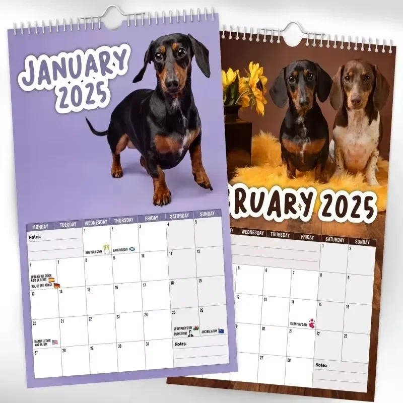 Cheeky Dachshunds - 2025 Wall Calendar Quirky Cute Wall Dachshund Calendar Daily  Weekly Monthly Planner 2025