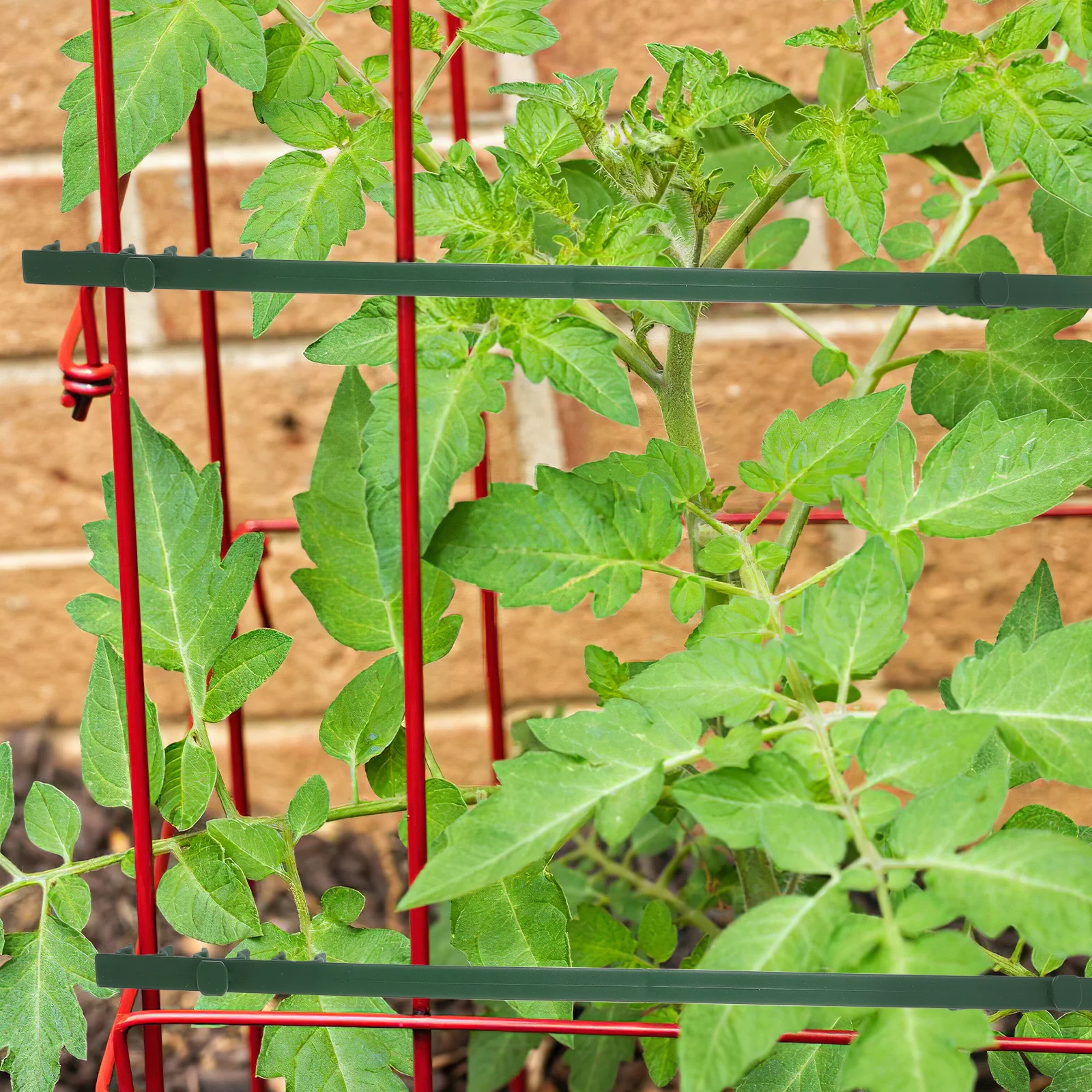 

20Pcs Durable Garden Trellis Connector Clips Weather Resistant Easy Snap Design for Climbing Plants Greenhouse Frames