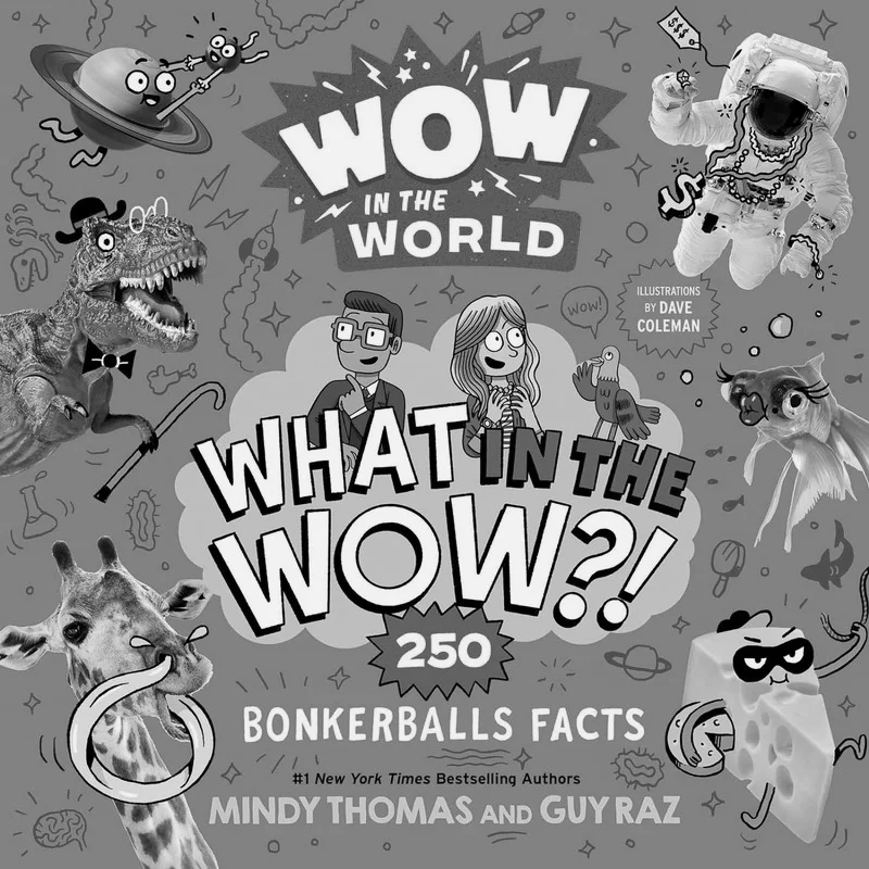 

Wow In The World What In The Wow 250. Бонкерболи Факты Книги Mindy Thomas Clarion 9780358697091 Книга