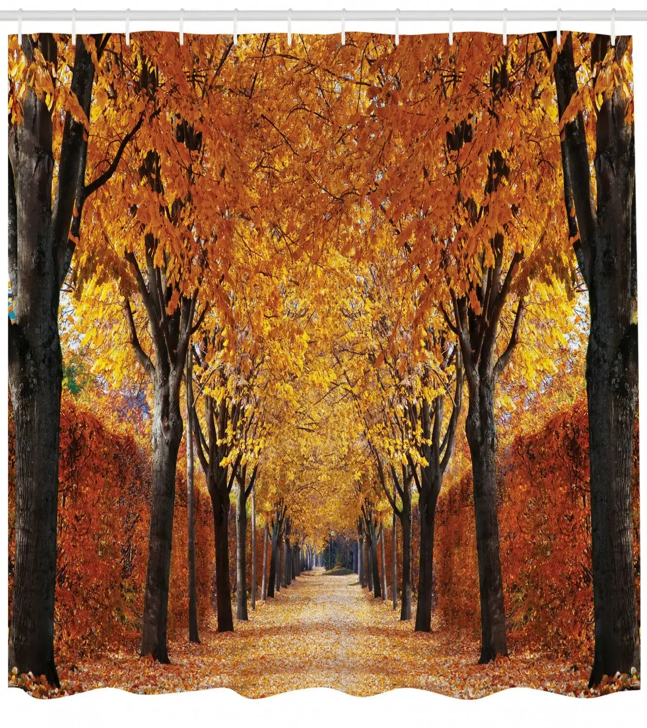 

Autumn Shower Curtain Pathway in the Woods Print for Bathroom