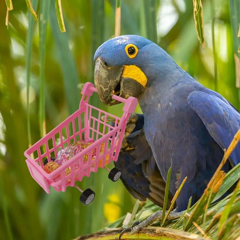 Bird Shopping Cart Toy Conure Trolley Toy for Playing and Training Bird Training Toys Parrot Intelligence Toy Tiny Shopping Cart