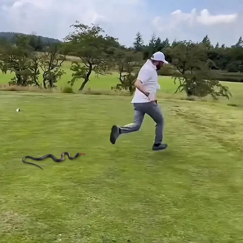 1/2 قطعة لعبة مزحة الأفعى وهمية مخيف محاكاة المطاط Anaconda هالوين حفلة خدعة اللعب تأثيري حلي الدعائم اكسسوارات 22 سنتيمتر